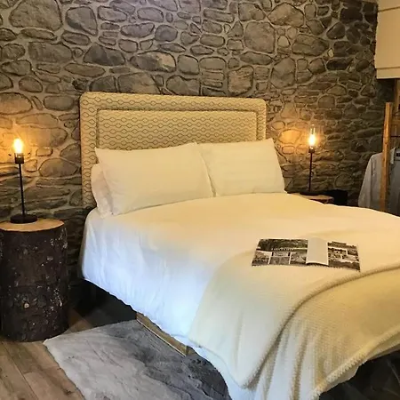 Tatil Evi Queenies Kilkenny