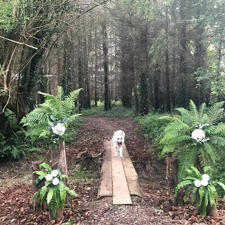 Queenies Nyaraló Kilkenny