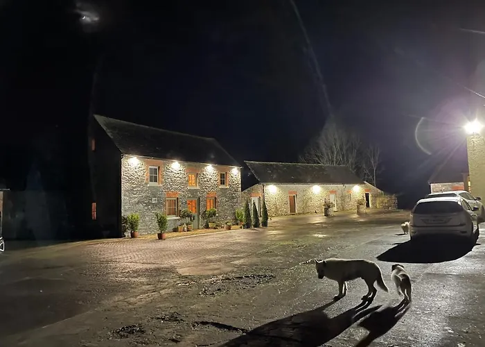 Queenies * Килкенни