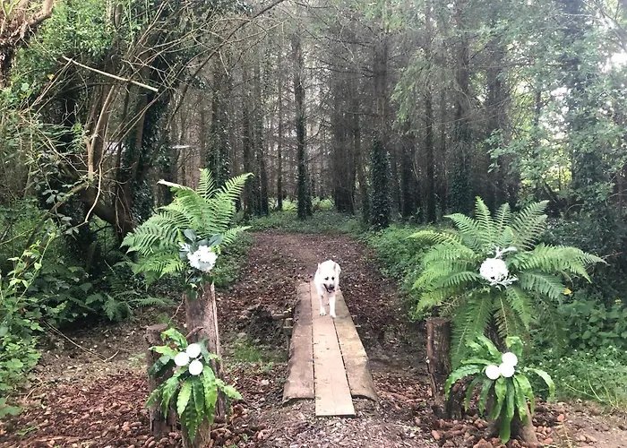 Queenies Ferienhaus Kilkenny